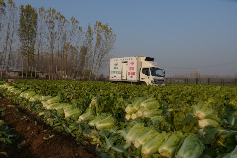 1669618072346853.jpg 微信圖片_202211171640493_副本.jpg